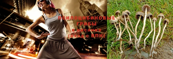 мет Алексин