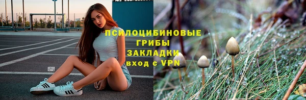 прущий лед Алзамай